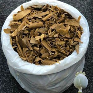 Premium Dried Iboga Root Barks for Sale - 100% Organic